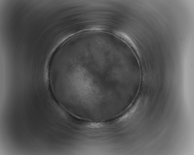 X0000089690835200707051623