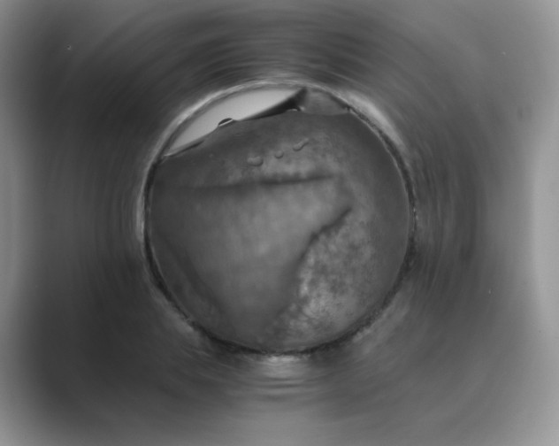 X0000089690839200707051623