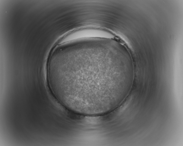 X0000089690840200707051623