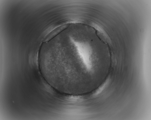 X0000089690842200707051623