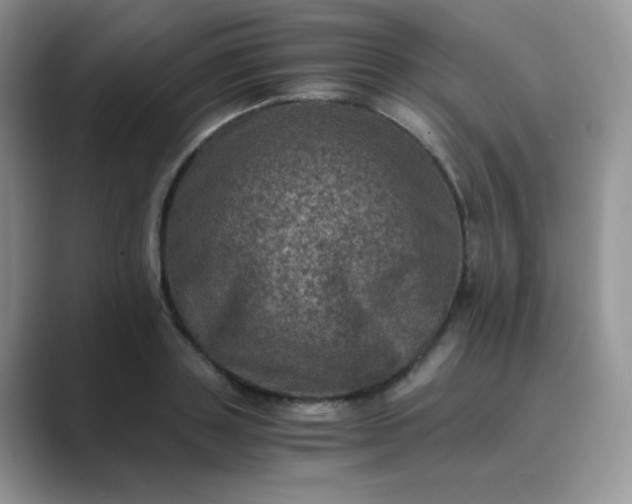 X0000089690843200707051623