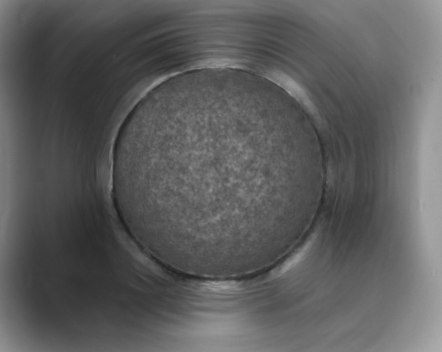 X0000089690844200707051623