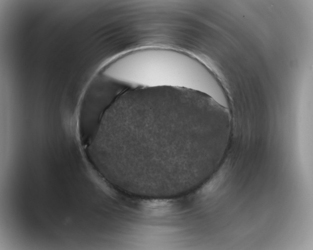 X0000089690846200707051623