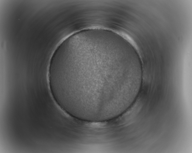 X0000089690847200707051623