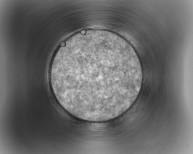 X0000089690848200707051623