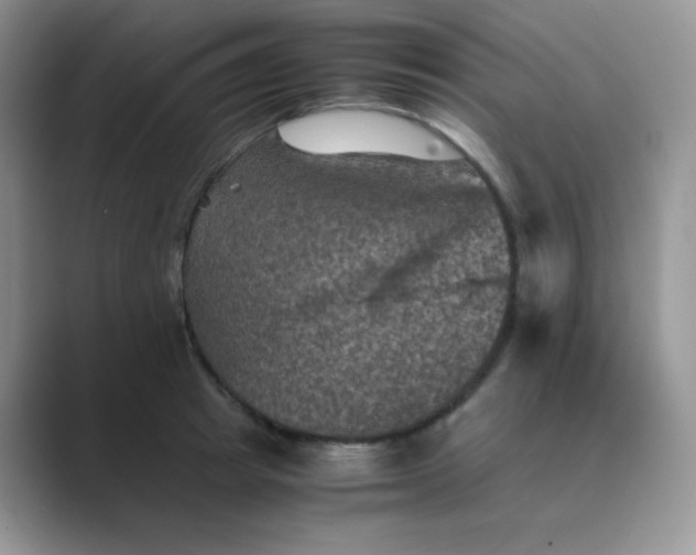 X0000089690849200707051623