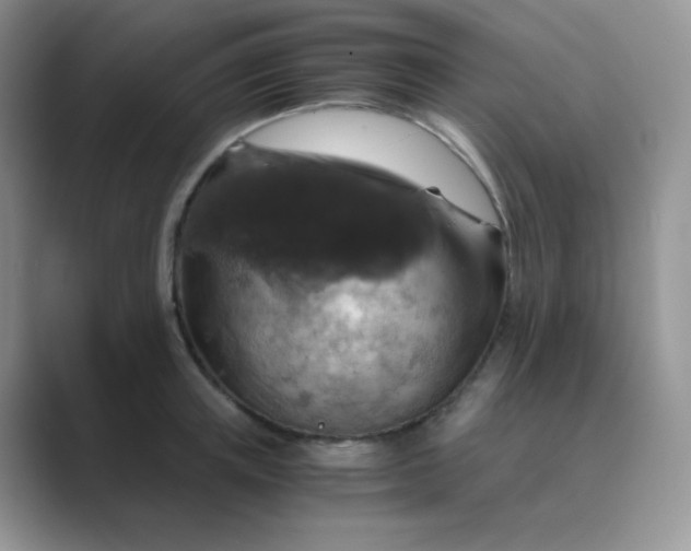 X0000089690851200707051623