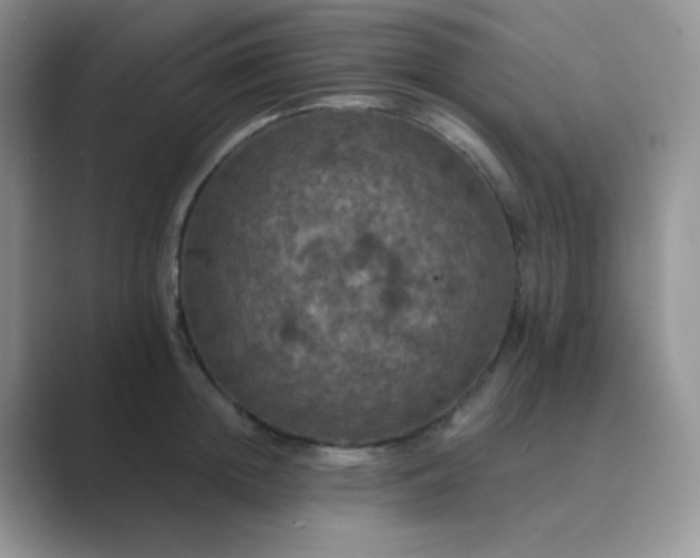 X0000089690852200707051623