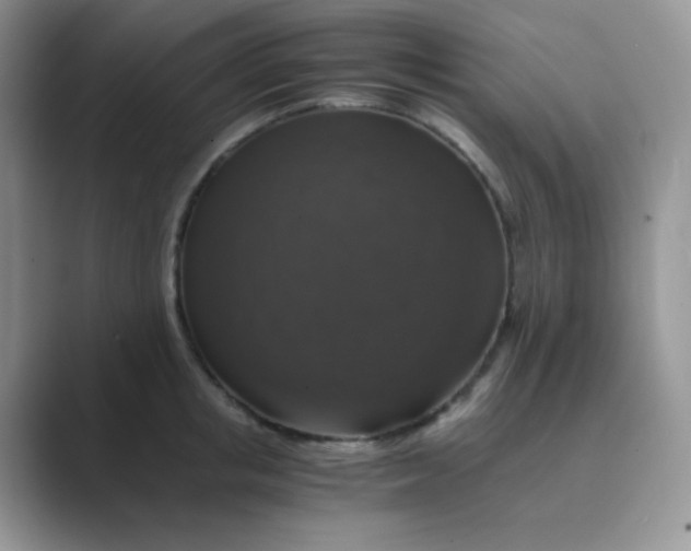 X0000089690853200707051623