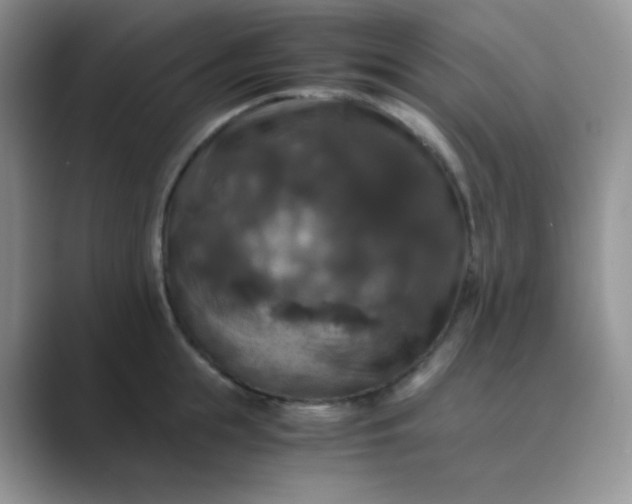 X0000089690855200707051623