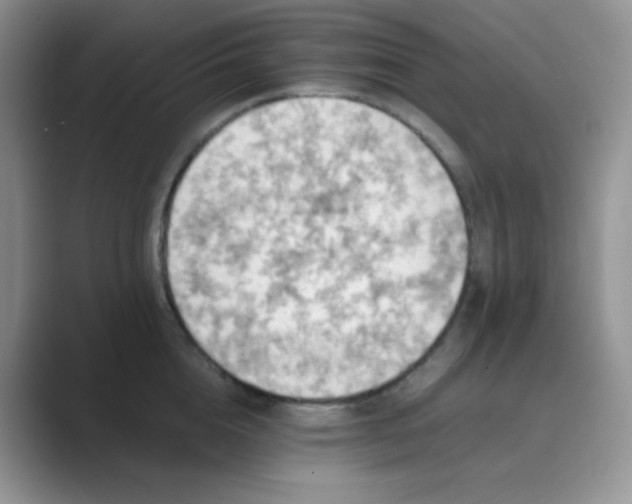 X0000089690856200707051623