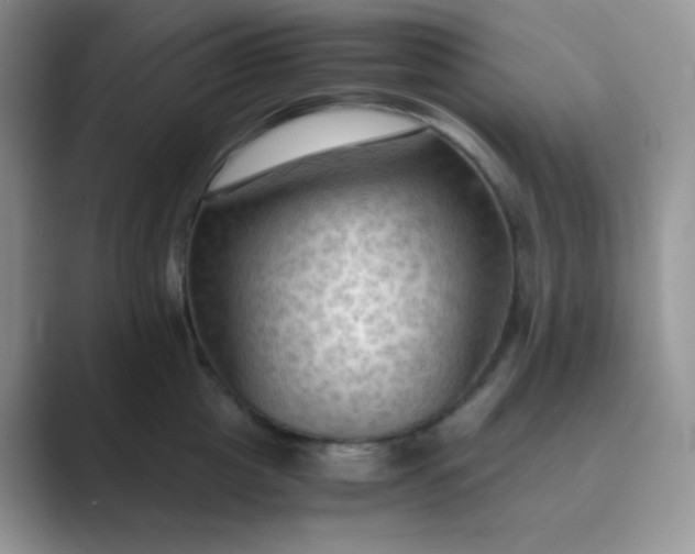 X0000089690857200707051623