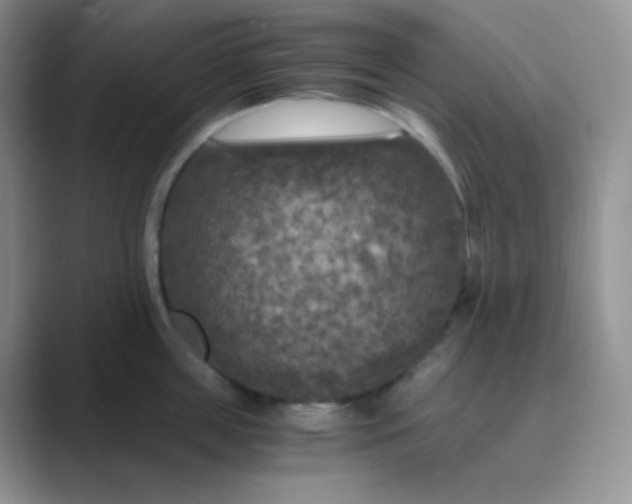 X0000089690859200707051623