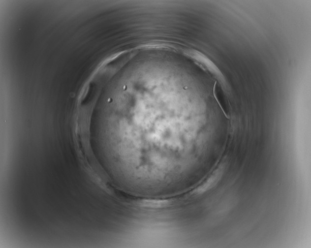 X0000089690860200707051623