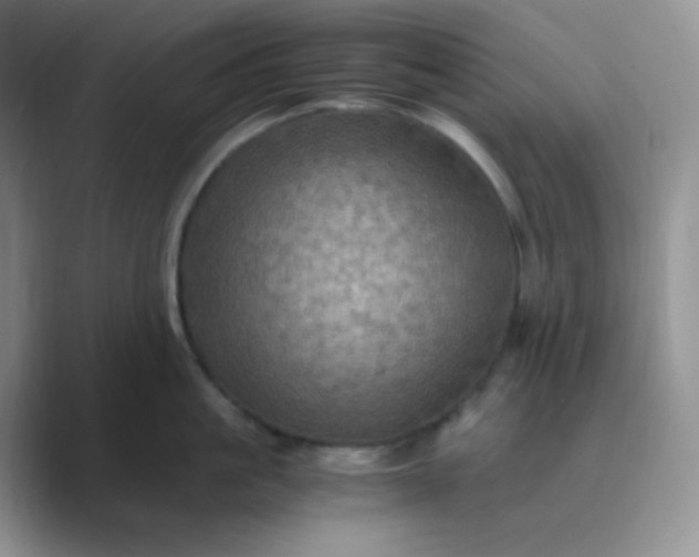 X0000089690861200707051623