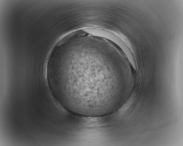 X0000089690862200707051623