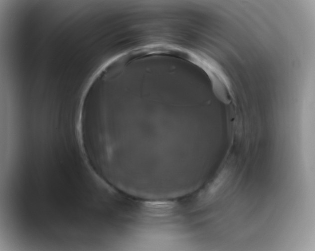 X0000089690863200707051623