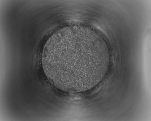 X0000089690870200707051623