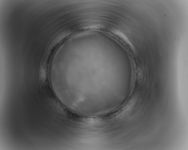 X0000089690874200707051623