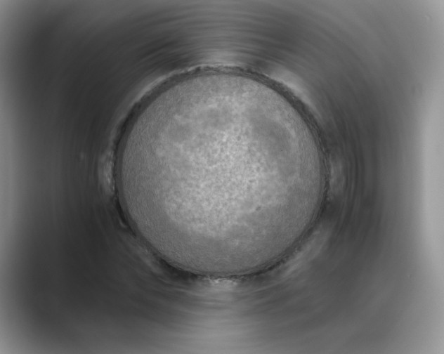 X0000089690878200707051623