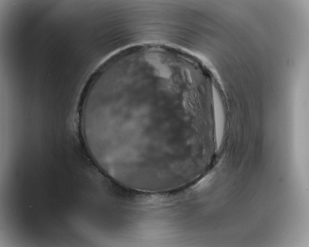 X0000089690879200707051623