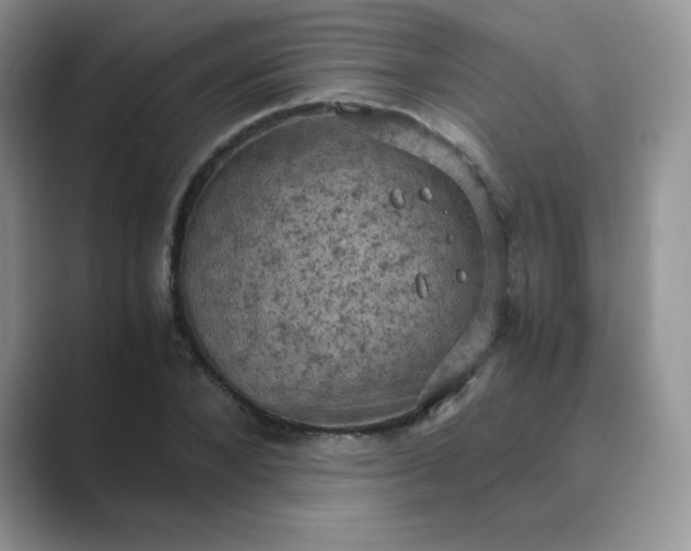 X0000089690880200707051623