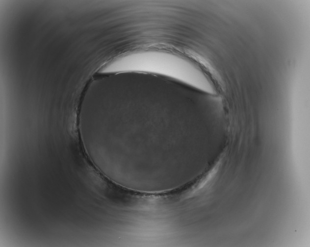 X0000089690881200707051623