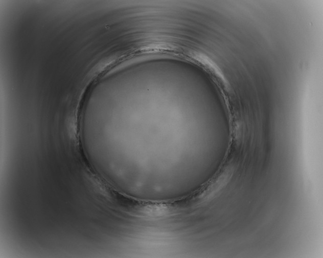 X0000089690882200707051623