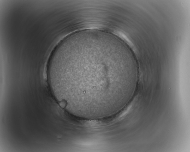 X0000089690883200707051623