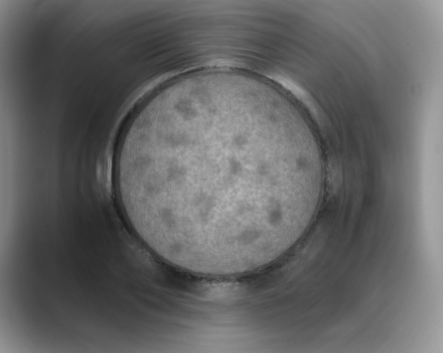 X0000089690886200707051623