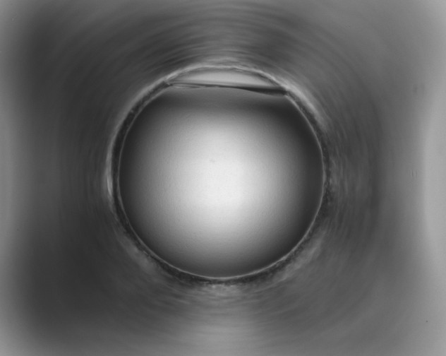 X0000089690888200707051623