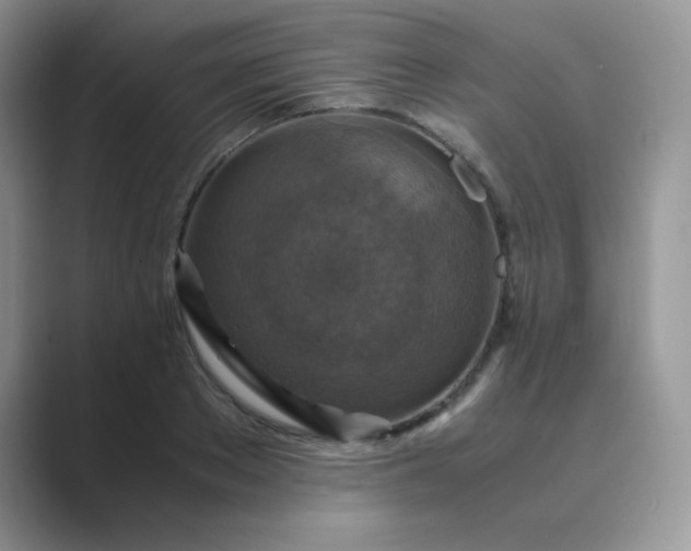 X0000089690889200707051623