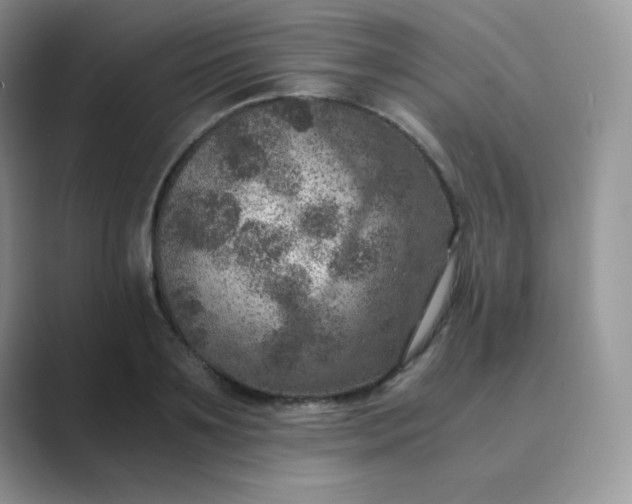 X0000089690891200707051623