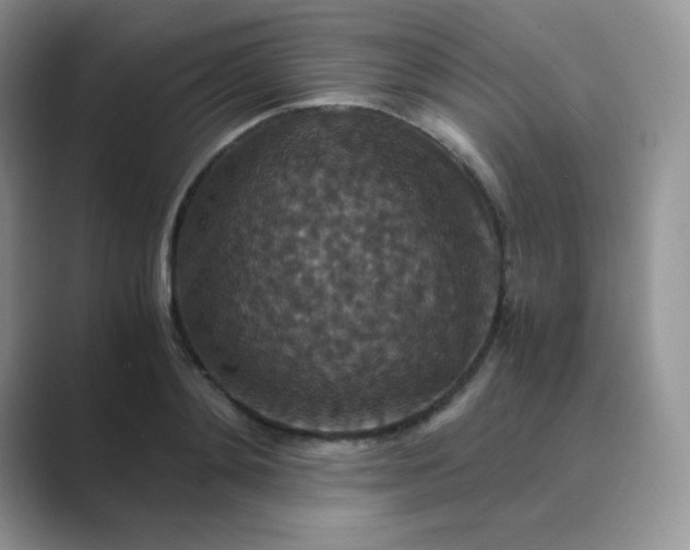 X0000089690892200707051623