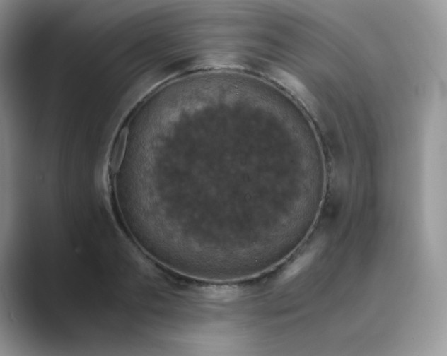 X0000089690893200707051623