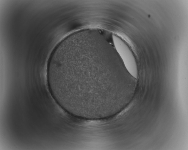 X0000089690894200707051623