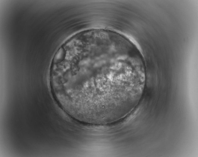 X0000089690895200707051623