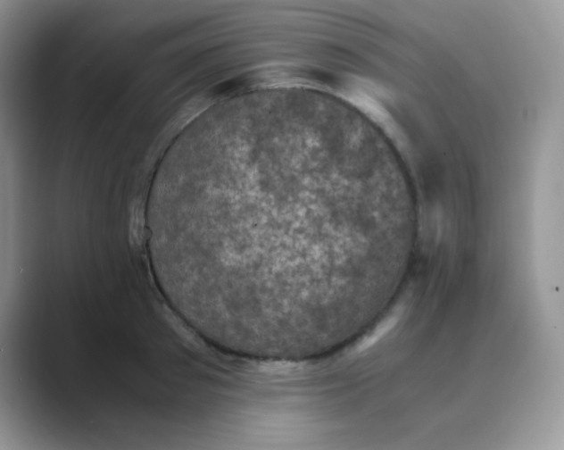 X0000089690897200707051622