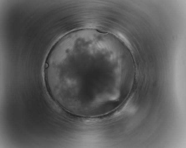 X0000089690899200707051622