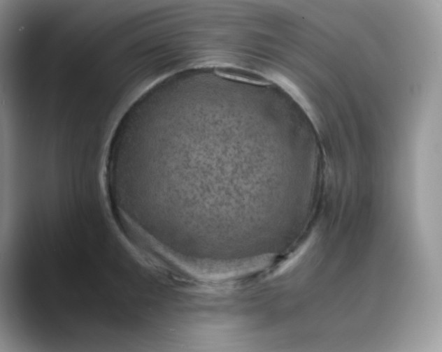 X0000089690901200707051622