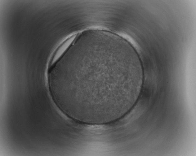 X0000089690902200707051622