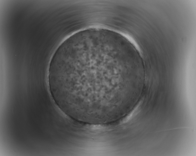 X0000089690903200707051622