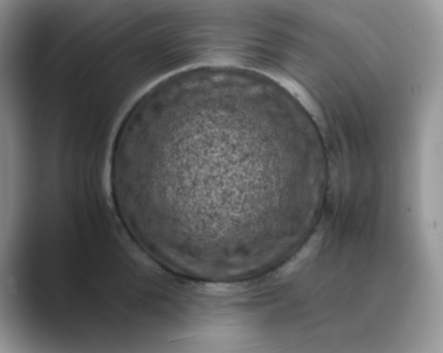 X0000089690904200707051622