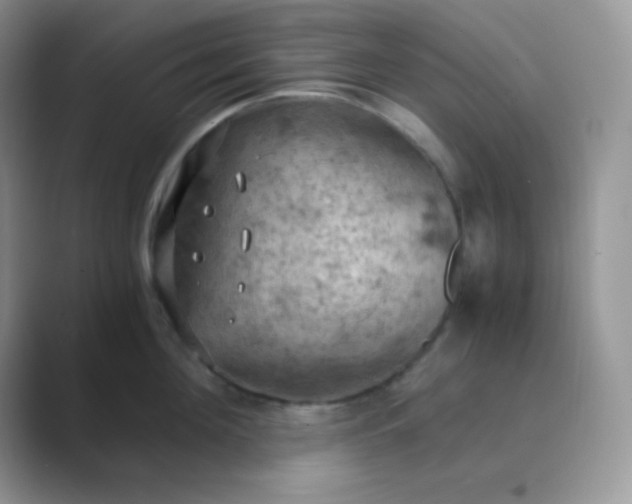 X0000089690908200707051622