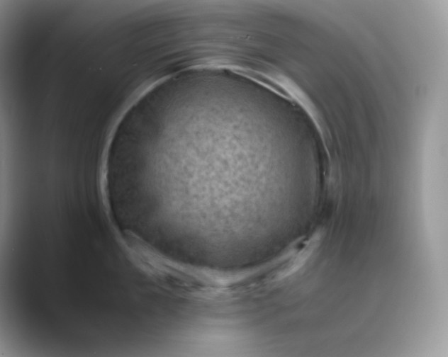 X0000089690909200707051622