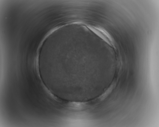 X0000089690910200707051622