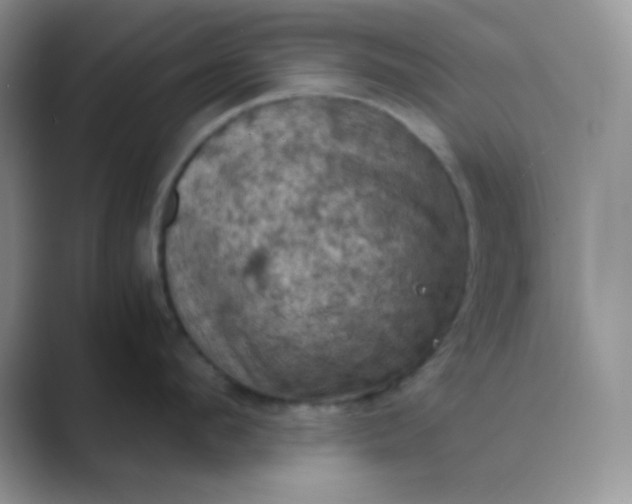 X0000089690912200707051622