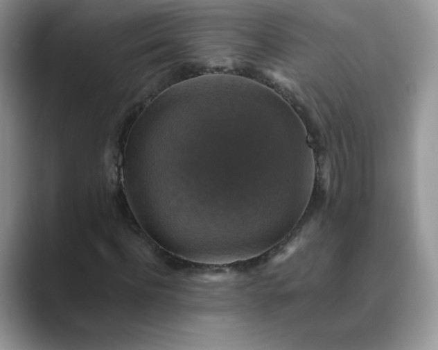 X0000089690916200707051622