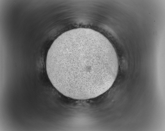 X0000089690918200707051622