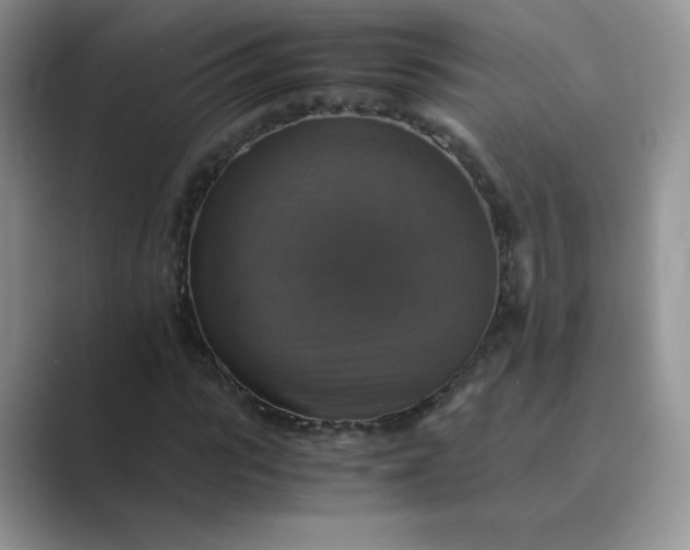 X0000089690919200707051622